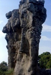 Campana. Incavallicata - Elefante di pietra