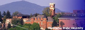 Washington  State University