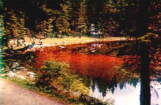 Per alcuni il fenomeno delle piogge di sangue era dovuto alla rabbia degli dei. Nella foto il Lago 'rosso' di Tovel, il cui fenomeno è dovuto solo a un banalissimo microfita.