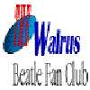 WEB: Newsletters, Activities..