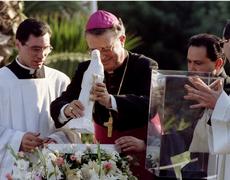 Mons. Girolamo Grillo, originario di Parghelia, con la Madonnina di Civitavecchia