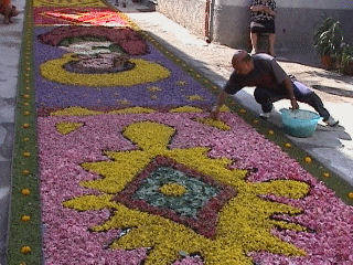 L'Infiorata di Potenzoni