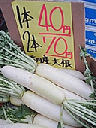 Daikon giapponese